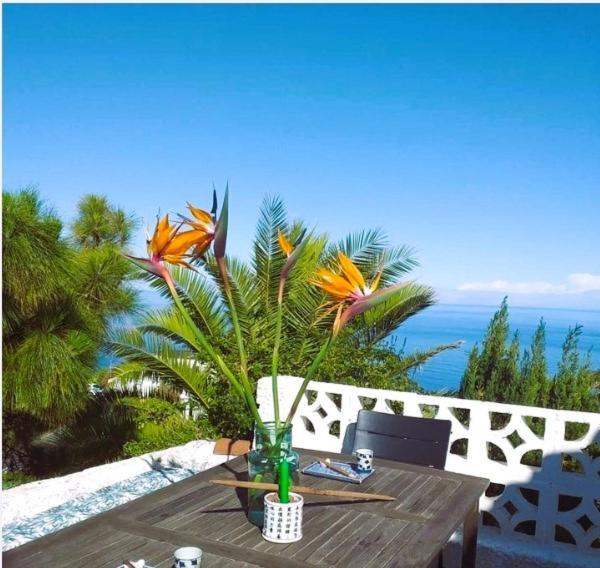 Zenrepublic, Your Private Villa With Outdoor Jacuzzi & Pool With Stunning Ocean Views Puntillo Del Sol Zewnętrze zdjęcie